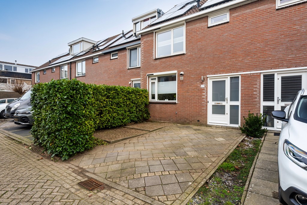 34. Boterbloemweide 86_05.jpg